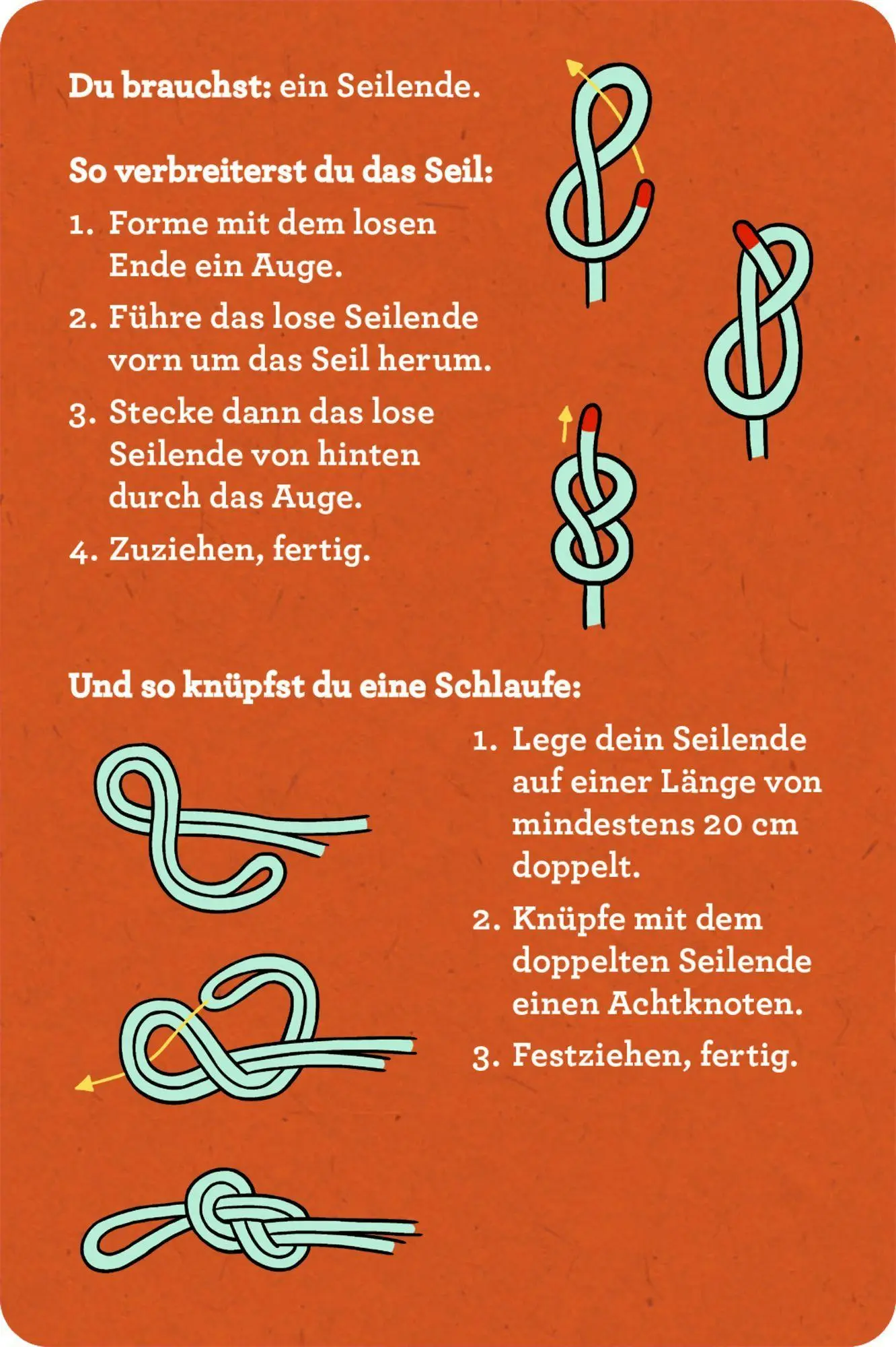 Bild: 9783649652359 | 30 Knoten mit Seilen zum Üben | Barbara Wernsing | Taschenbuch | 64 S.
