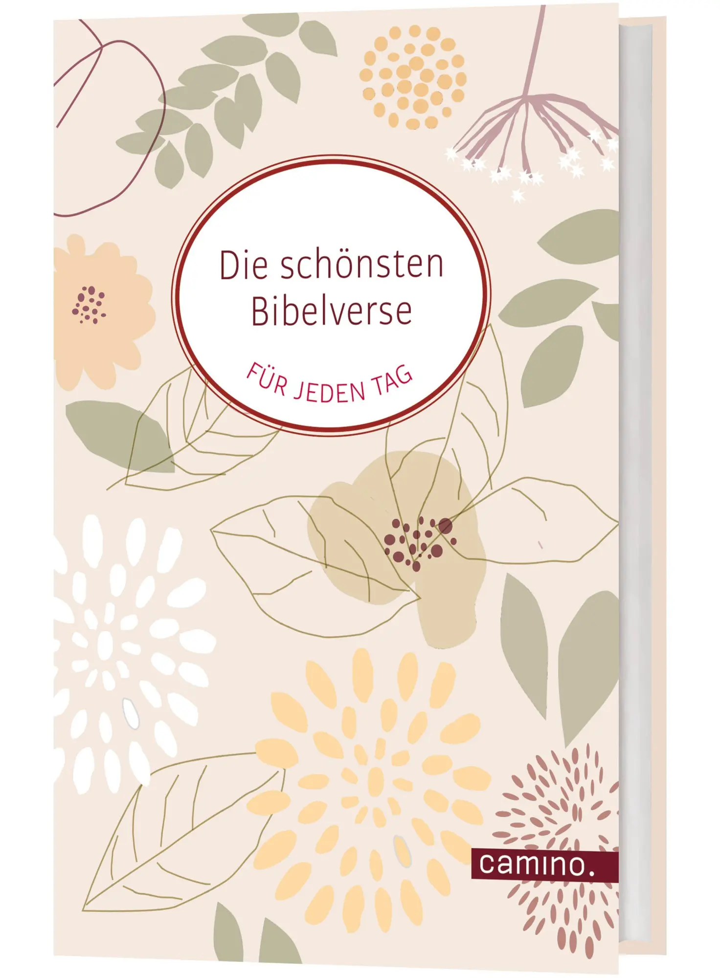 Die schönsten Bibelverse für jeden Tag