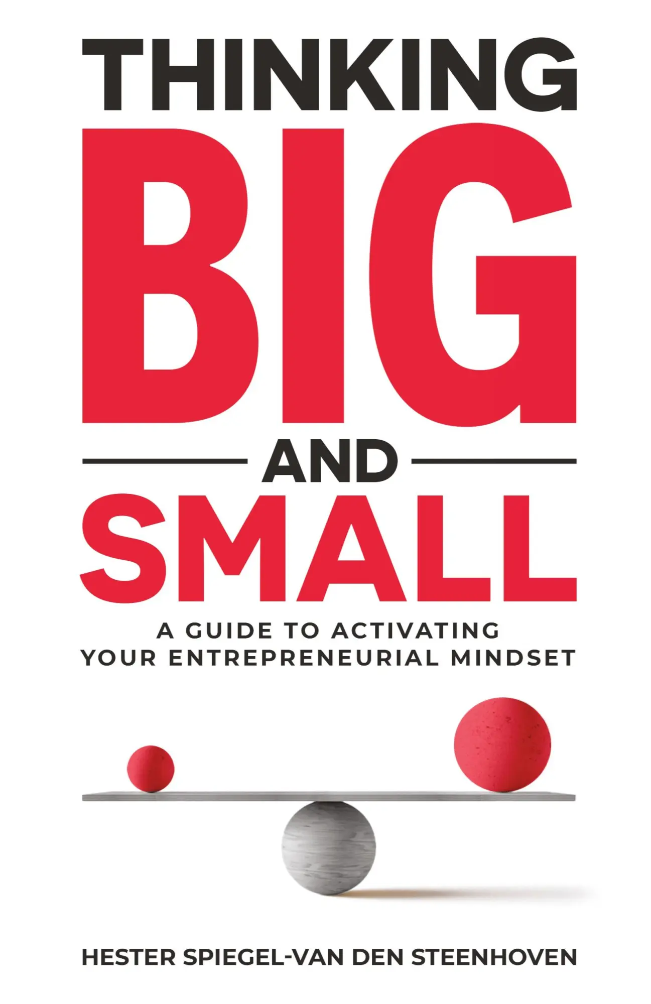 Cover: 9789819402359 | Thinking Big and Small | Hester Spiegel-Van Den Steenhoven | Buch
