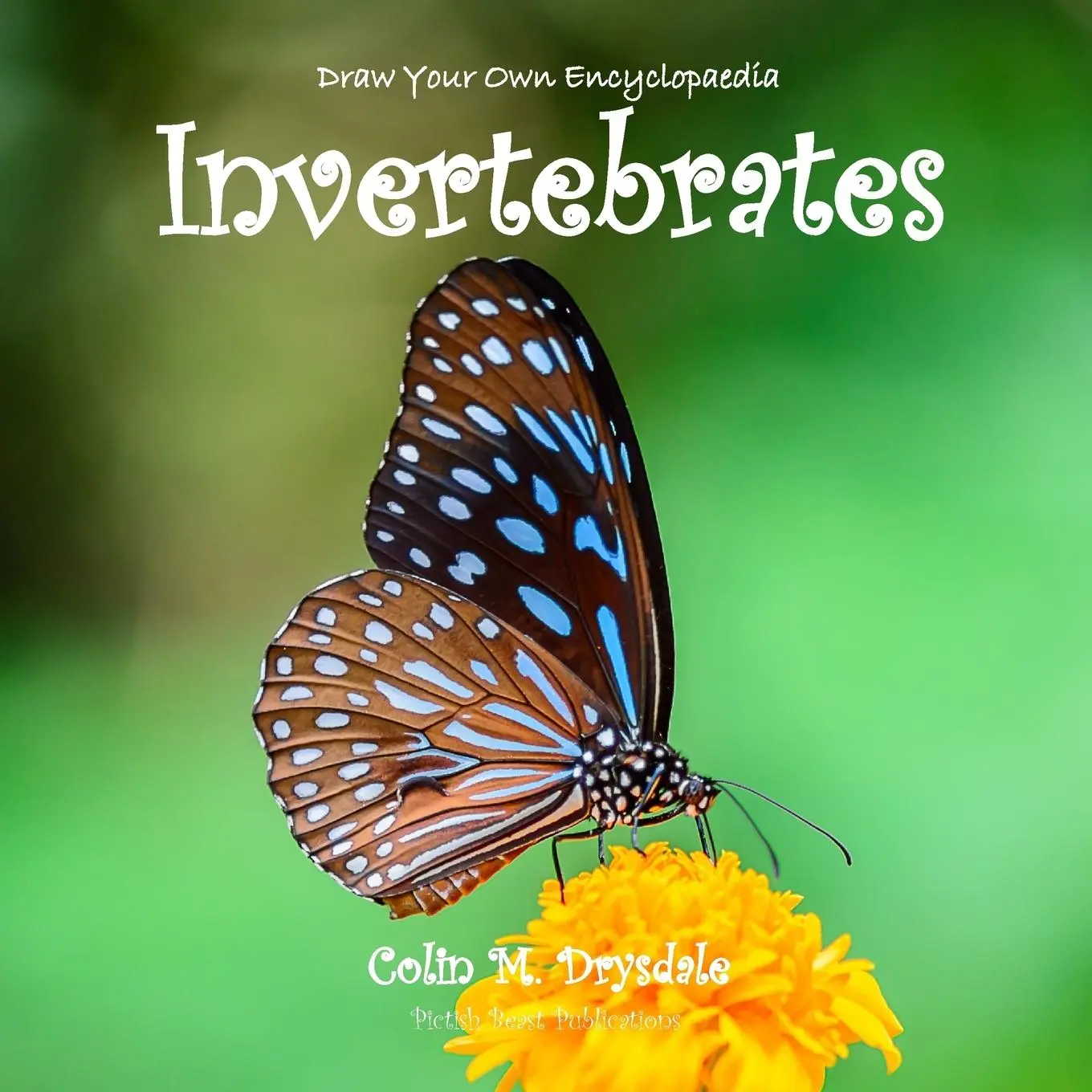 Cover: 9781909832459 | Draw Your Own Encyclopaedia Invertebrates | Colin M Drysdale | Buch