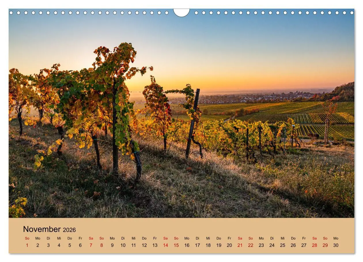 Bild: 9783457722459 | Bad Dürkheimer Ansichten (Wandkalender 2026 DIN A3 quer), CALVENDO...