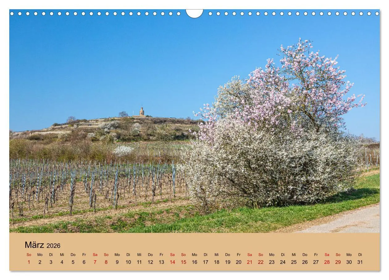 Bild: 9783457722459 | Bad Dürkheimer Ansichten (Wandkalender 2026 DIN A3 quer), CALVENDO...