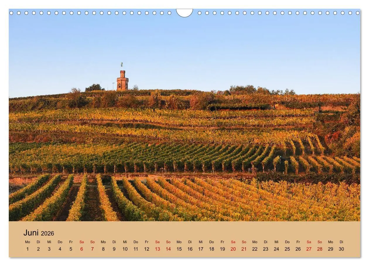 Bild: 9783457722459 | Bad Dürkheimer Ansichten (Wandkalender 2026 DIN A3 quer), CALVENDO...