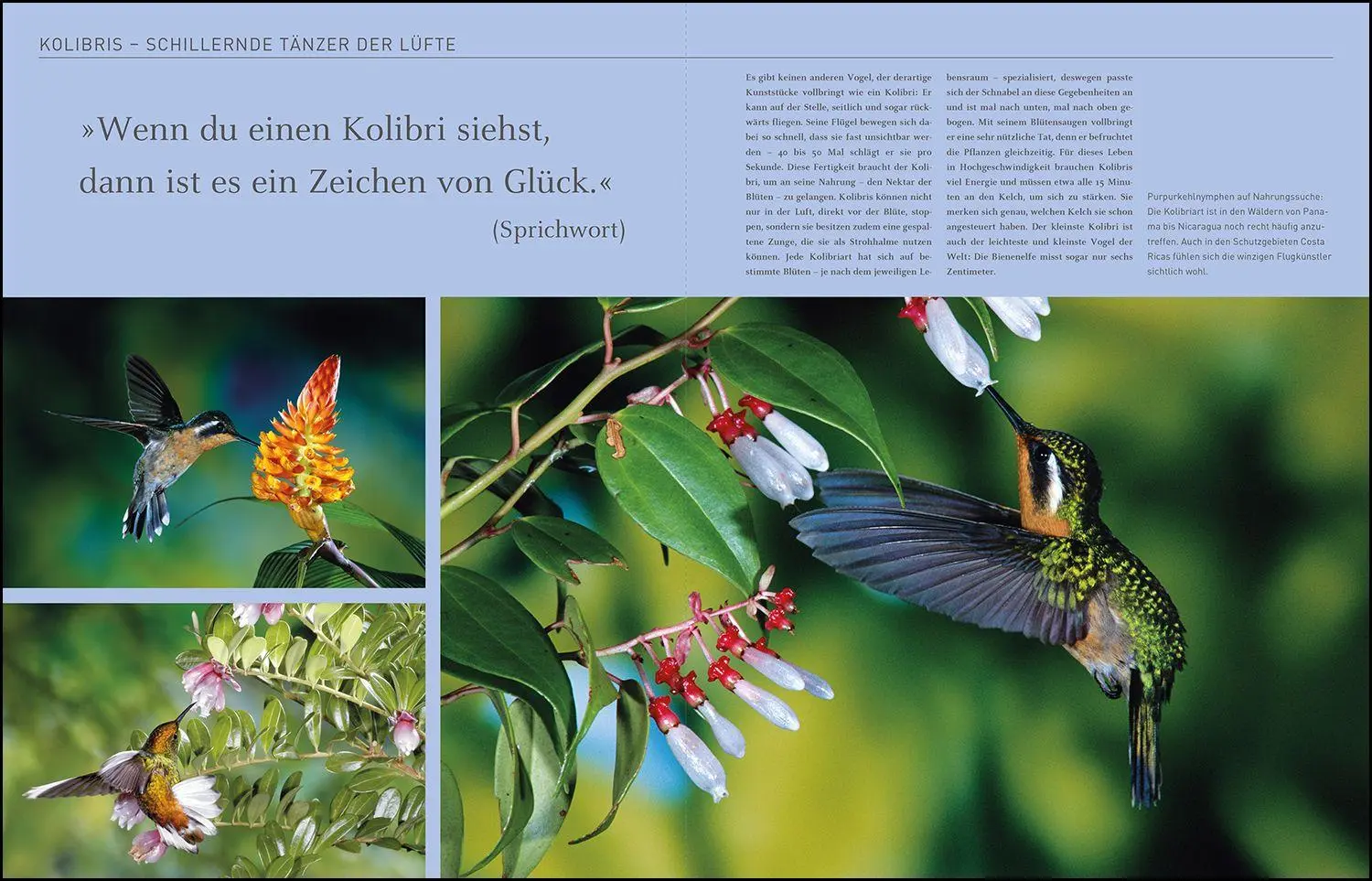Bild: 9783969652459 | KUNTH Costa Rica. Das Buch | Highlights eines faszinierenden Landes