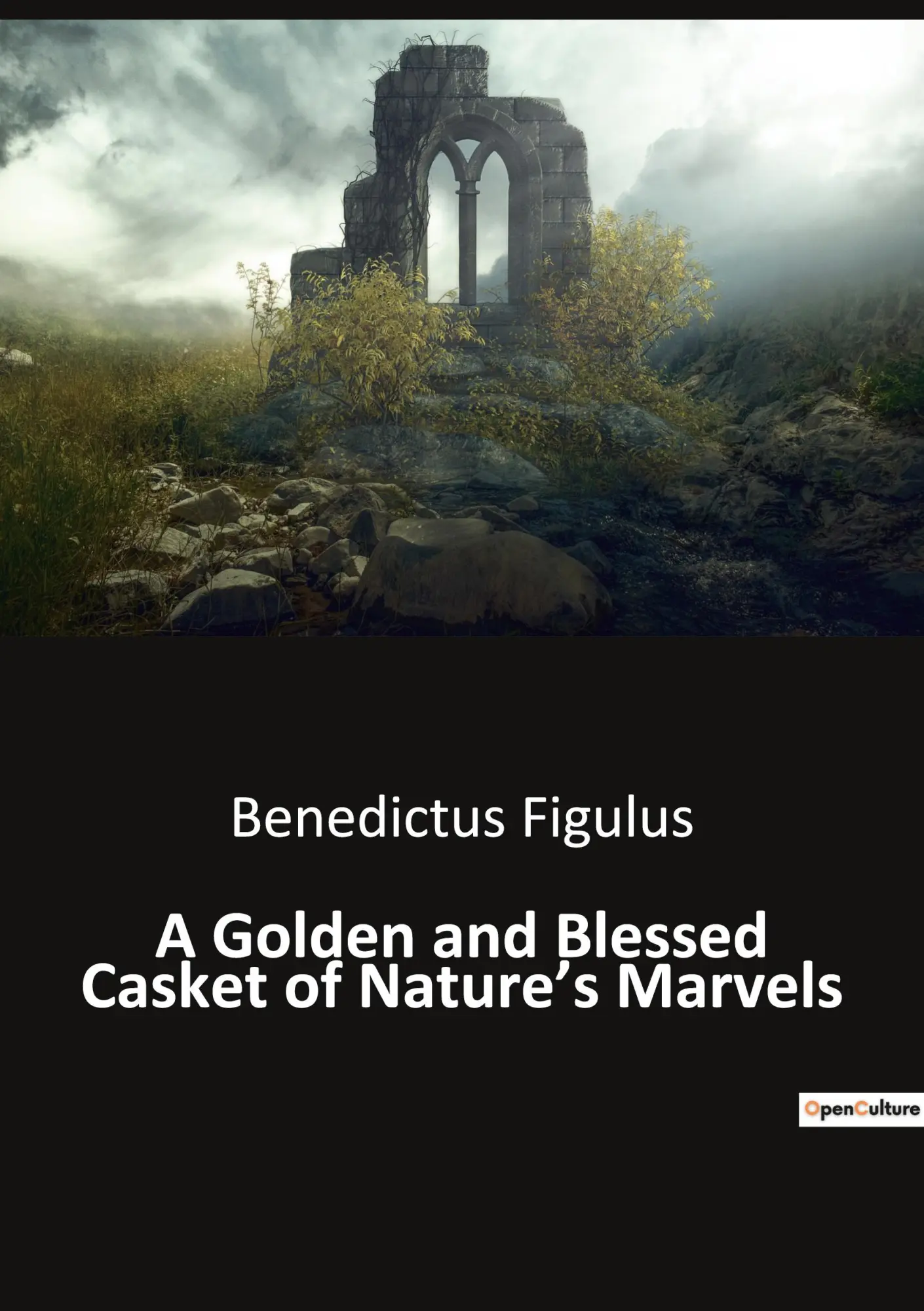 Cover: 9791041942459 | A Golden and Blessed Casket of Nature's Marvels | Benedictus Figulus