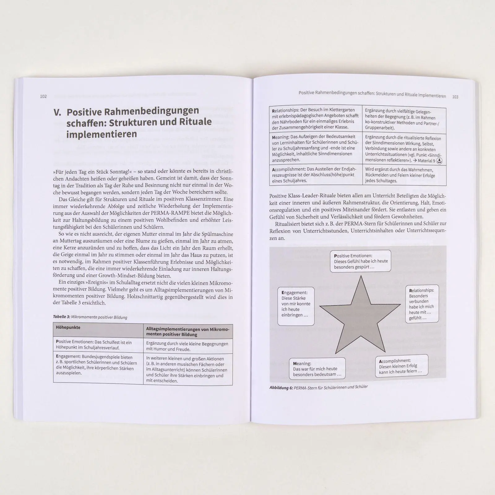 Bild: 9783407832559 | Positive Klassenführung | Katja Köhler (u. a.) | Taschenbuch | 115 S.