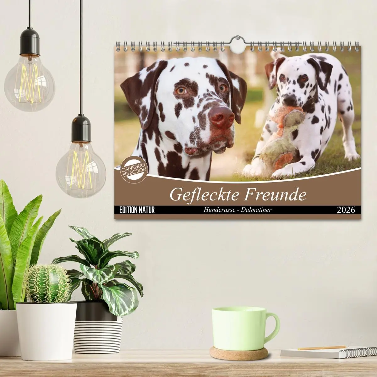 Bild: 9783457882559 | Gefleckte Freunde - Hunderasse Dalmatiner (Wandkalender 2026 DIN A4...