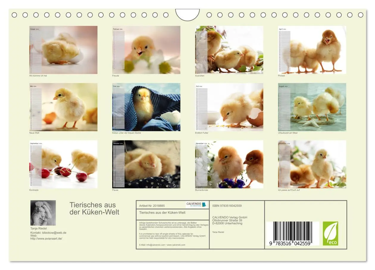 Bild: 9783516042559 | Tierisches aus der Küken-Welt (Wandkalender 2026 DIN A4 quer),...