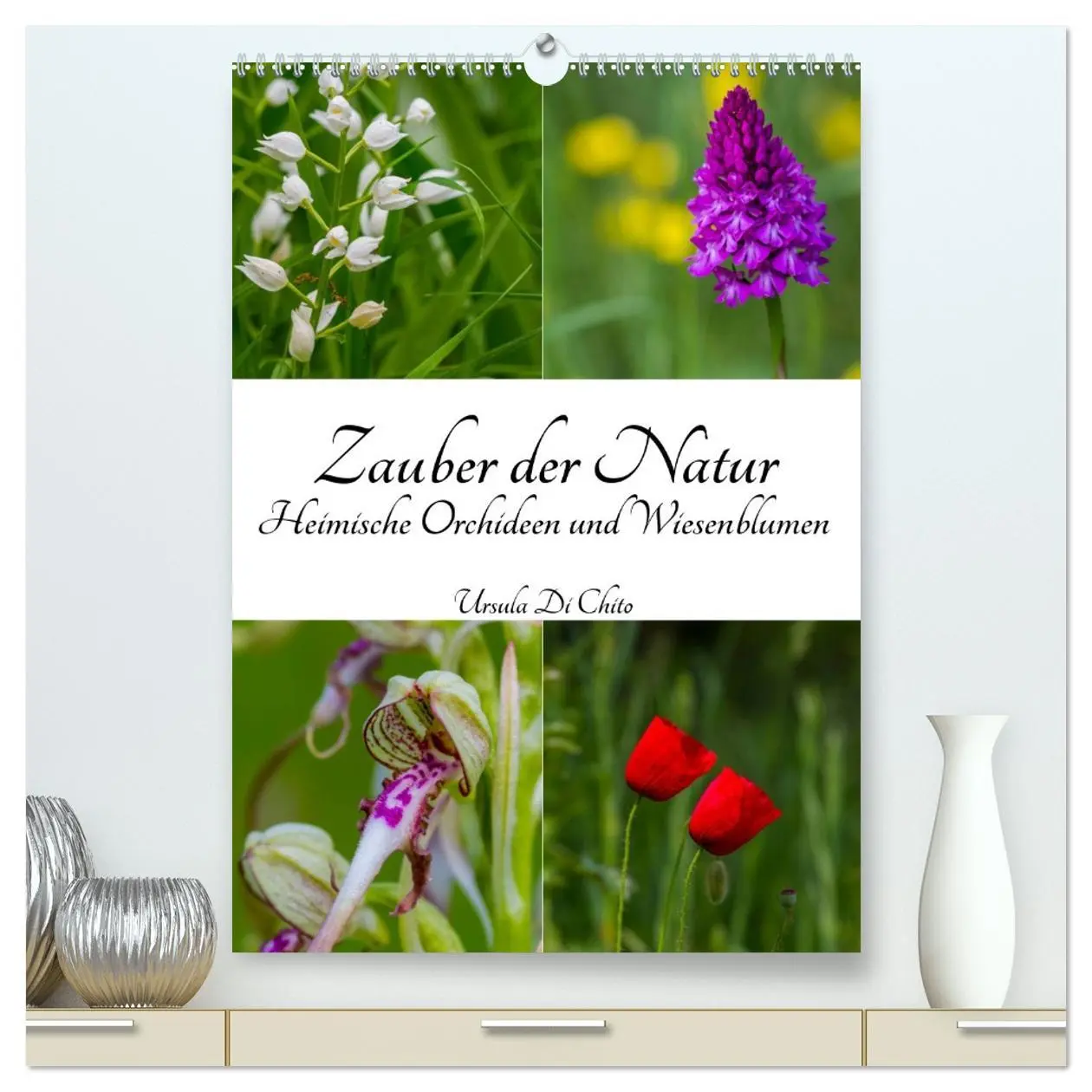 Cover: 9783516422559 | Zauber der Natur - Heimische Orchideen und Wiesenblumen...