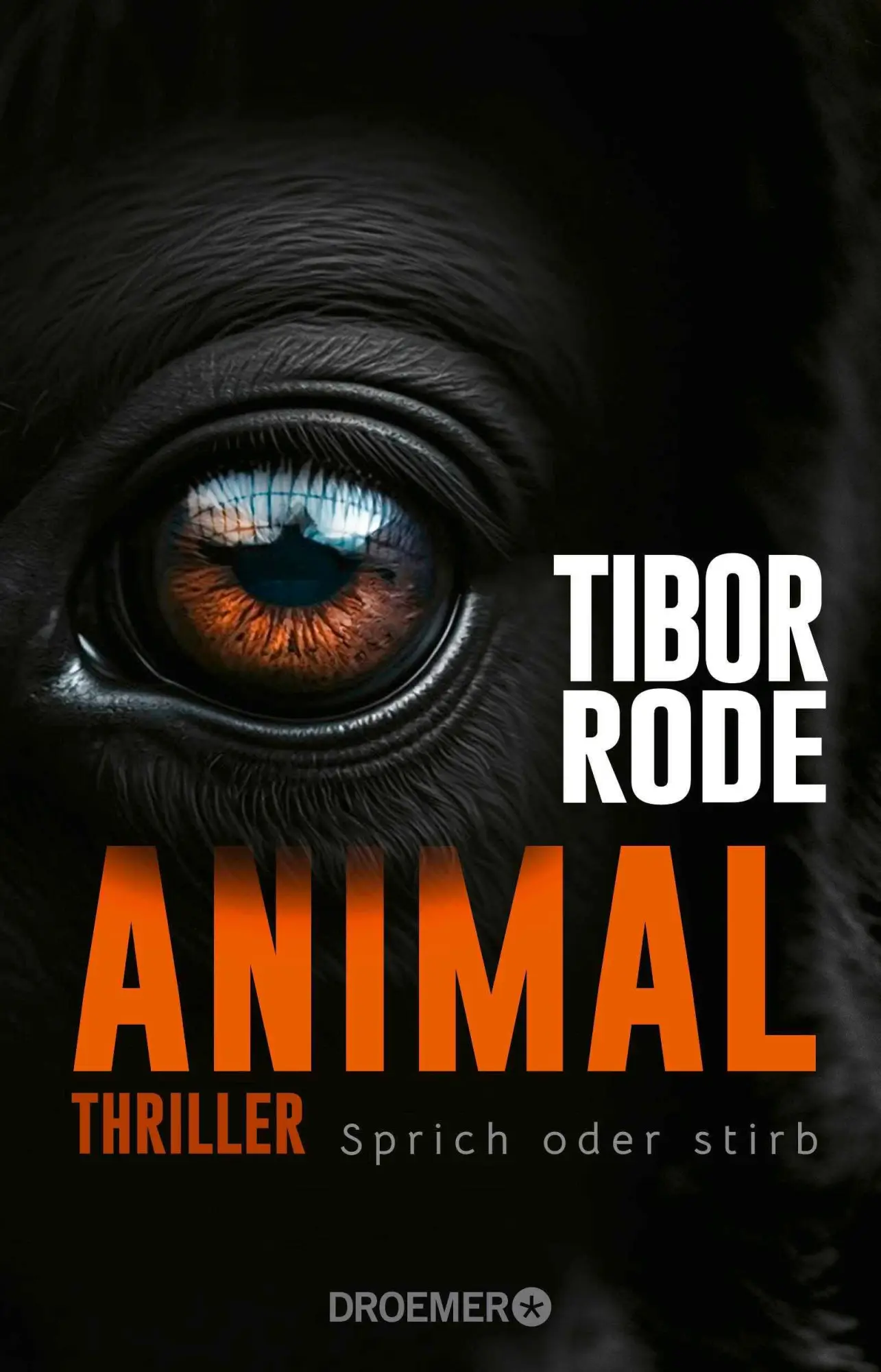 Cover: 9783426562659 | Animal | Tibor Rode | Taschenbuch | 480 S. | Deutsch | 2025 | Droemer
