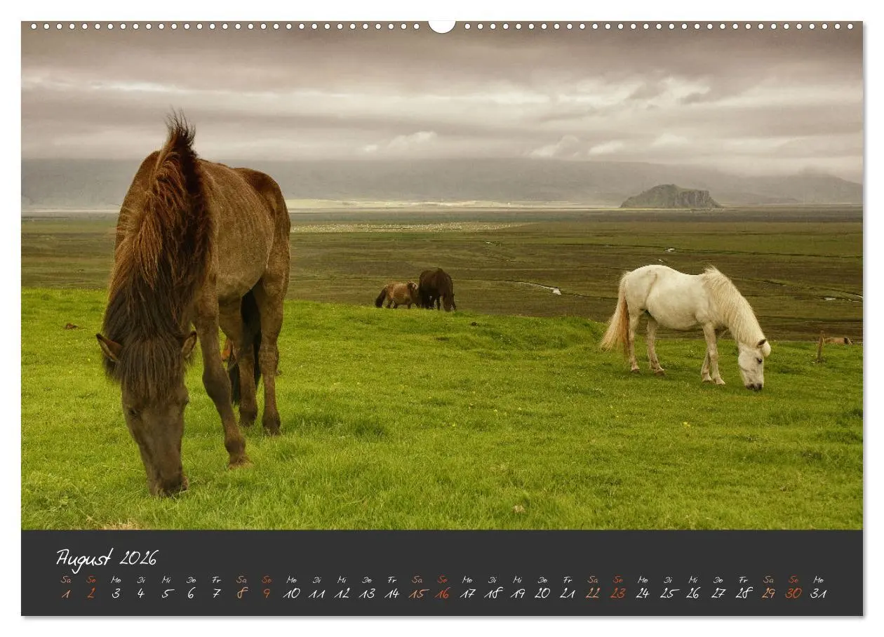 Bild: 9783457322659 | Islandpferde im Isi-Land (hochwertiger Premium Wandkalender 2026...