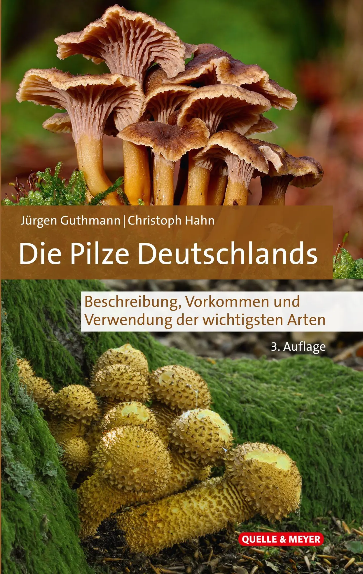 Cover: 9783494022659 | Die Pilze Deutschlands | Jürgen Guthmann (u. a.) | Buch | 526 S.