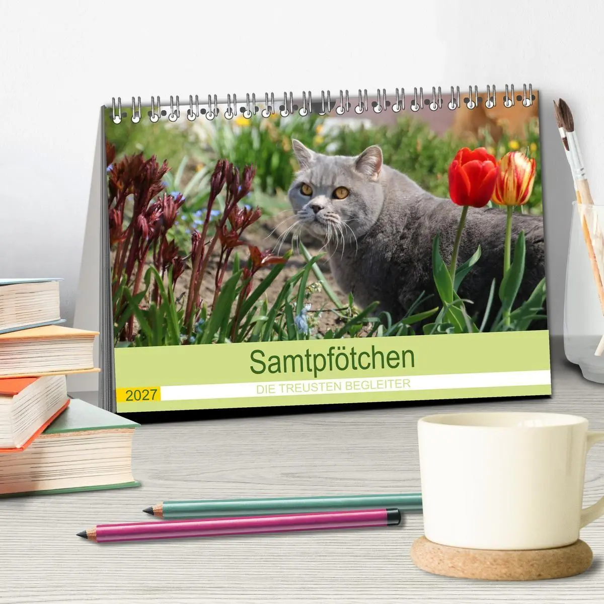 Bild: 9783569502659 | Samtpfötchen - Die treusten Begleiter 2027 (Tischkalender 2027 DIN...
