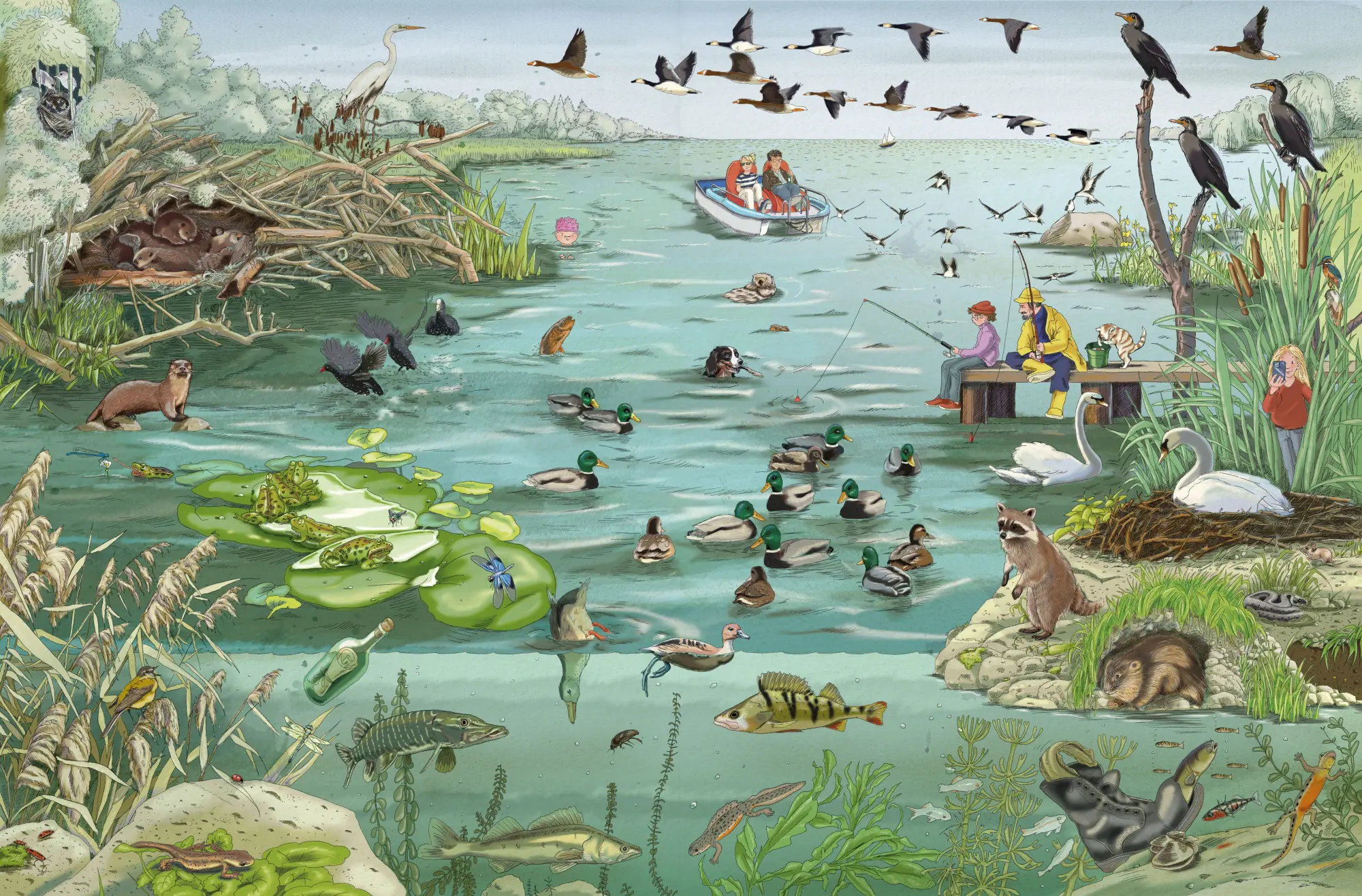 Bild: 9783985852659 | Tiere von nebenan | Tina Vlachy | Buch | 12 S. | Deutsch | 2025