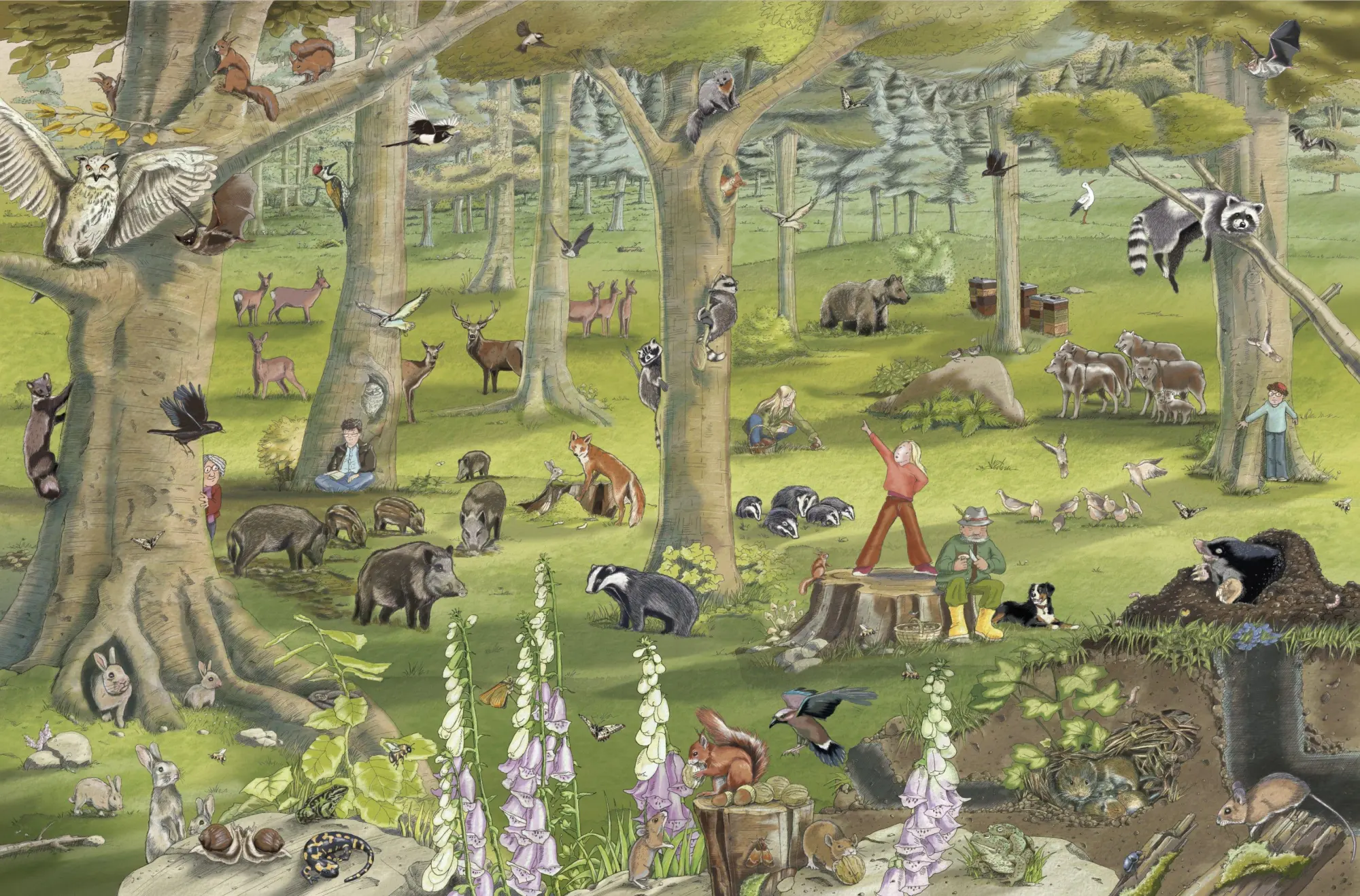 Bild: 9783985852659 | Tiere von nebenan | Tina Vlachy | Buch | 12 S. | Deutsch | 2025