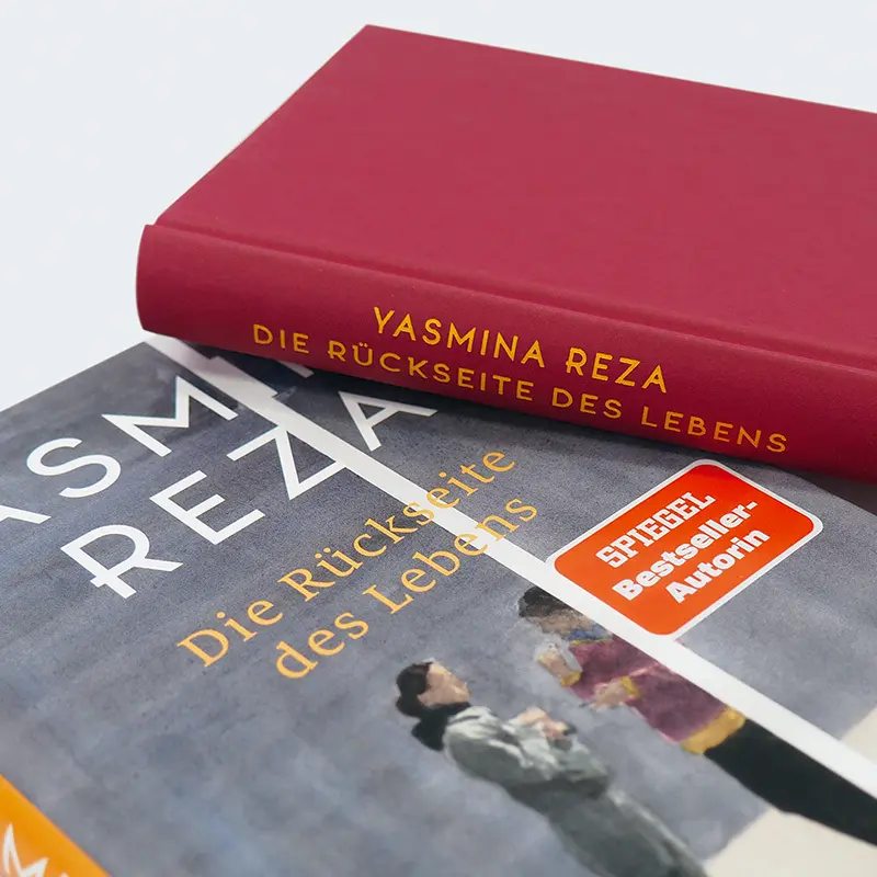 Bild: 9783446282759 | Die Rückseite des Lebens | Yasmina Reza | Buch | 208 S. | Deutsch