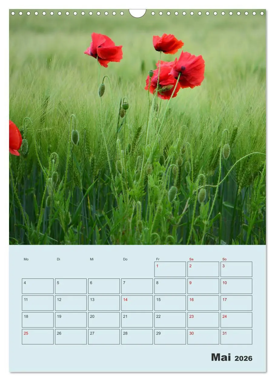 Bild: 9783516402759 | Moin Heiligenhafen (Wandkalender 2026 DIN A3 hoch), CALVENDO...