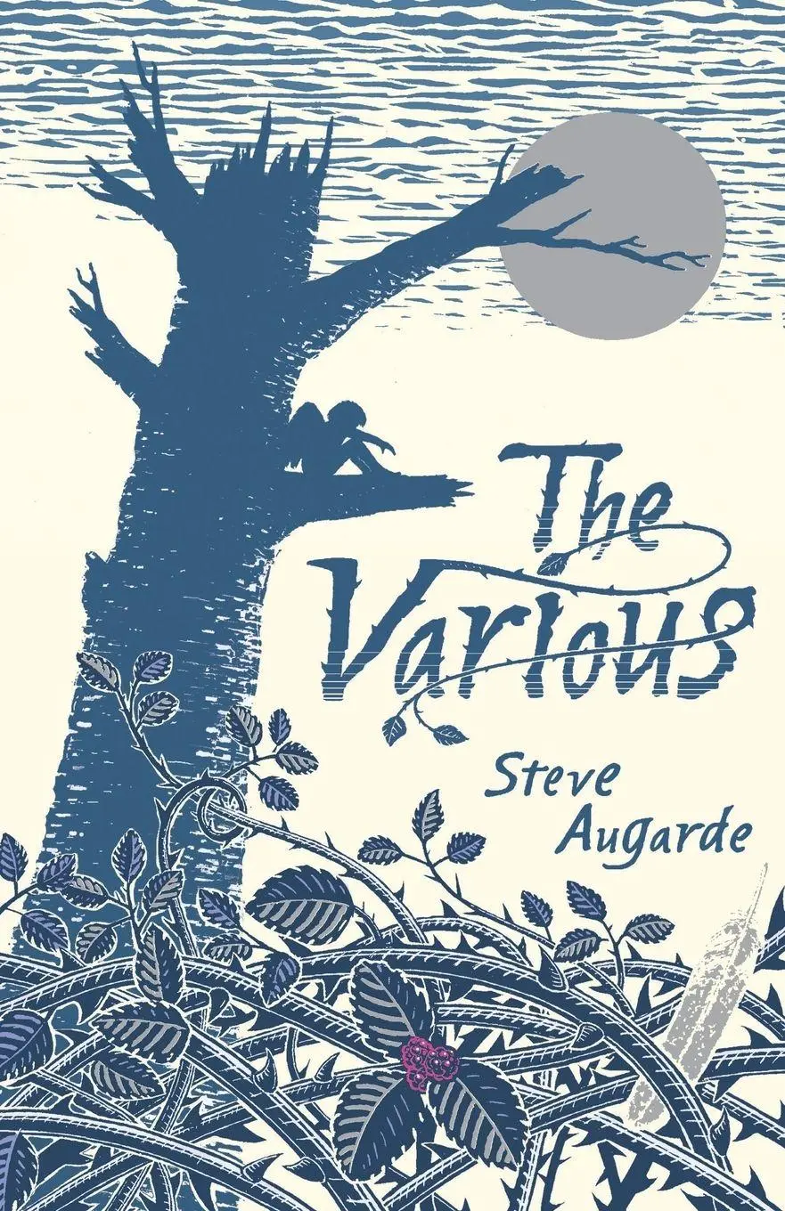 Cover: 9780552572859 | The Various | Steve Augarde | Taschenbuch | Englisch | 2014
