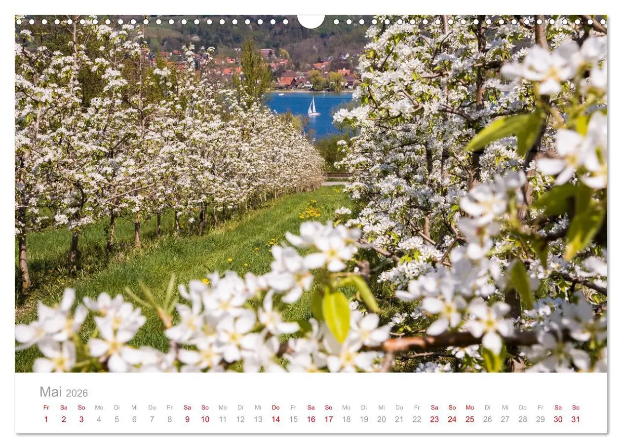 Bild: 9783457782859 | BODENSEE Drei Länder - ein See (Wandkalender 2026 DIN A3 quer),...