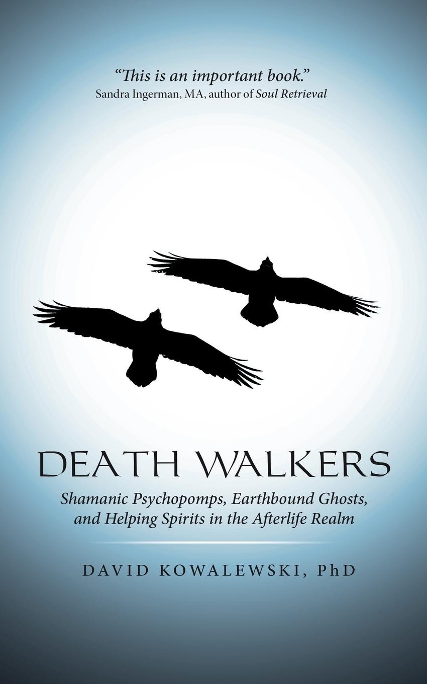 Cover: 9781491772959 | Death Walkers | David Kowalewski | Taschenbuch | Englisch | 2015