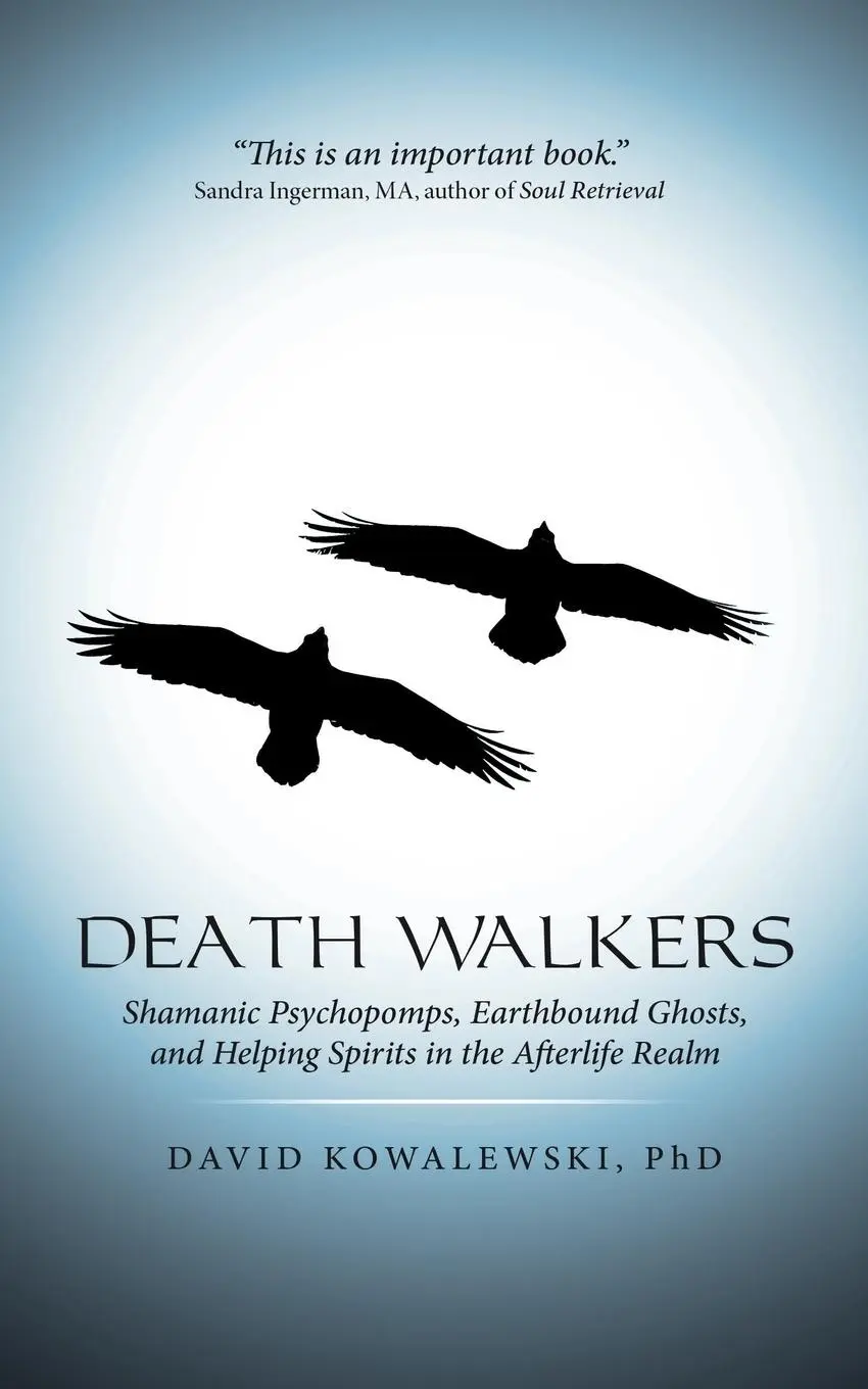Cover: 9781491772959 | Death Walkers | David Kowalewski | Taschenbuch | Englisch | 2015