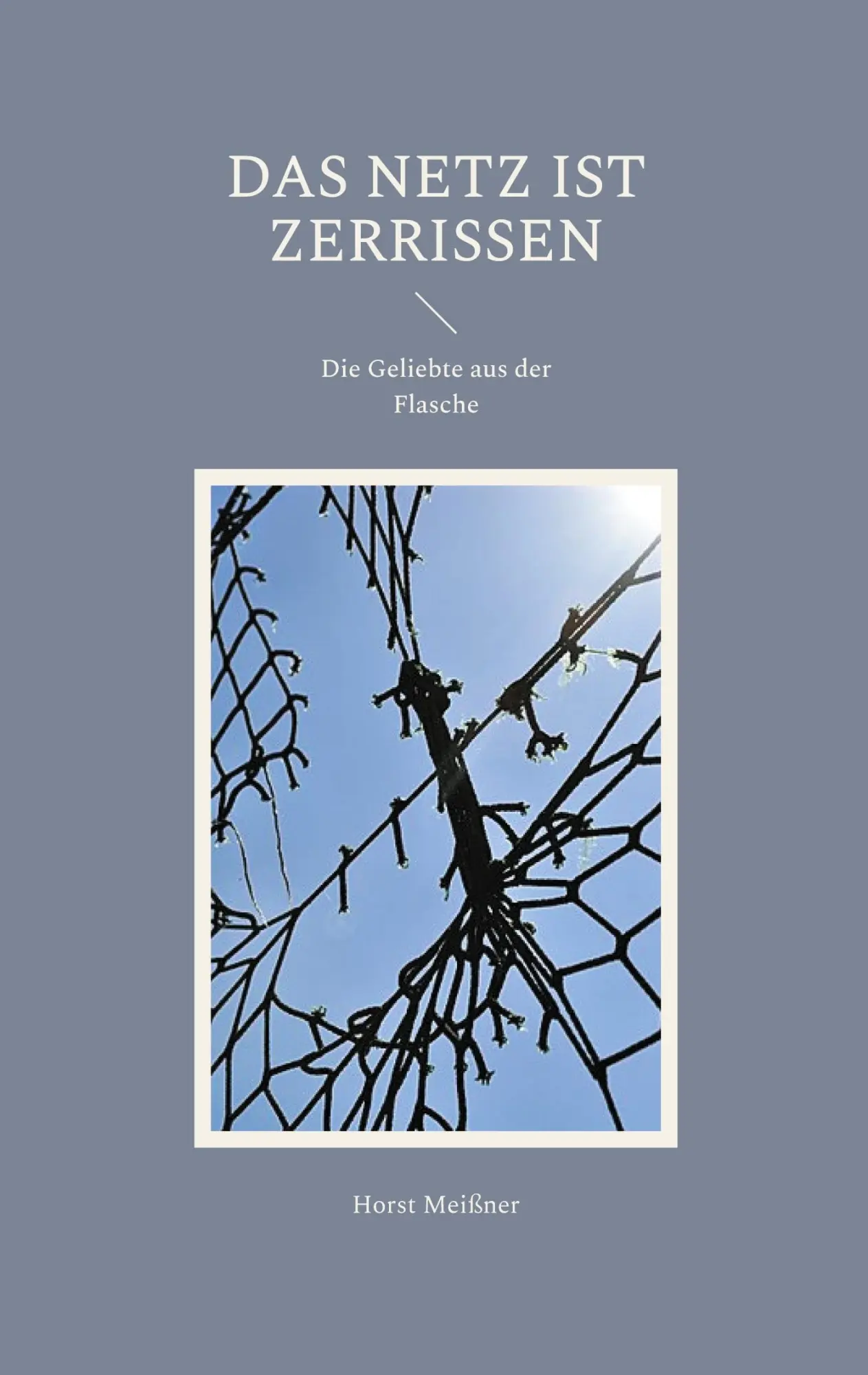 Cover: 9783759722959 | Das Netz ist zerrissen | Die Geliebte aus der Flasche | Horst Meißner
