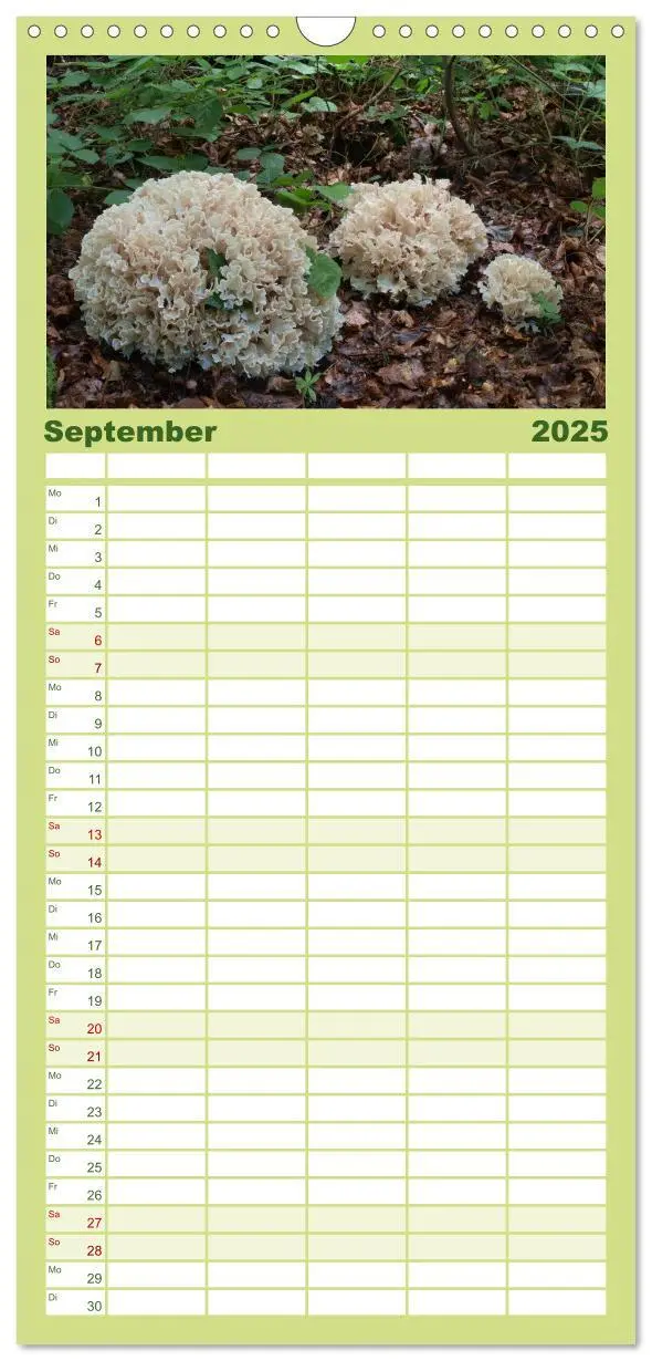 Bild: 9783457113059 | Familienplaner 2025 - Pilzkalender mit 5 Spalten (Wandkalender, 21...