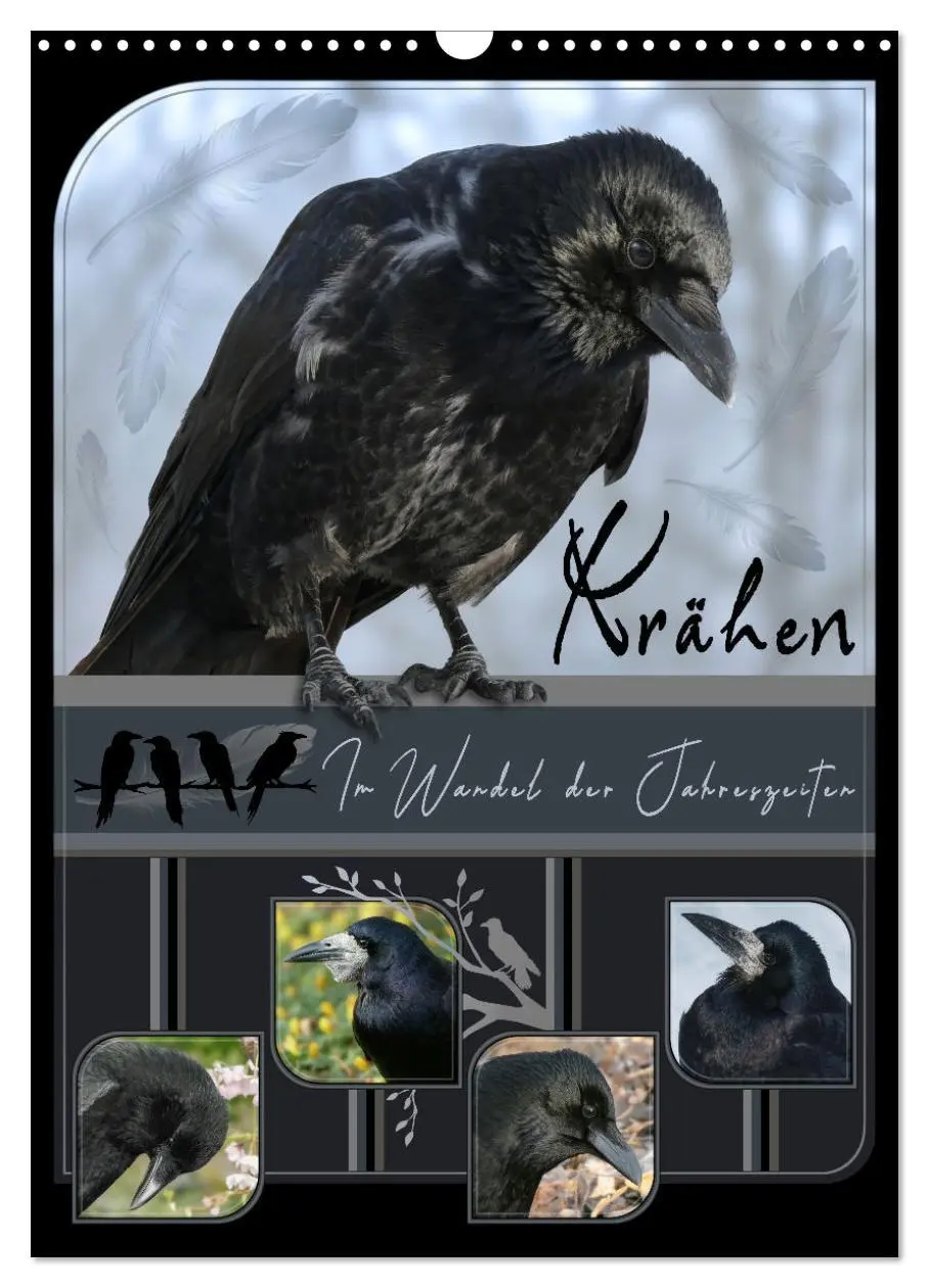 Cover: 9783457283059 | Krähen - Im Wandel der Jahreszeiten (Wandkalender 2026 DIN A3...
