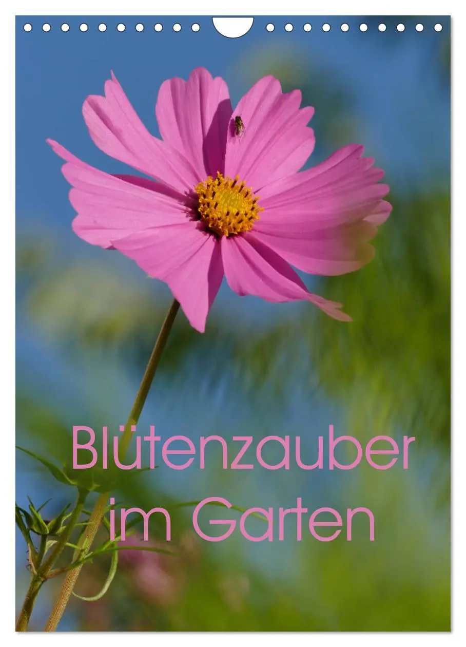 Cover: 9783516373059 | Blütenzauber im Garten (Wandkalender 2026 DIN A4 hoch), CALVENDO...