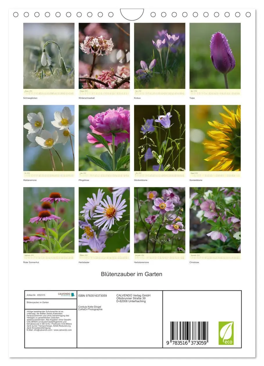 Bild: 9783516373059 | Blütenzauber im Garten (Wandkalender 2026 DIN A4 hoch), CALVENDO...