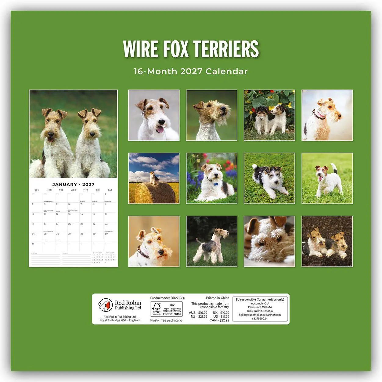 Rückseite: 9781837013159 | Wire Fox Terriers - Drahthaar Foxterrier 2027 - 16-Monatskalender