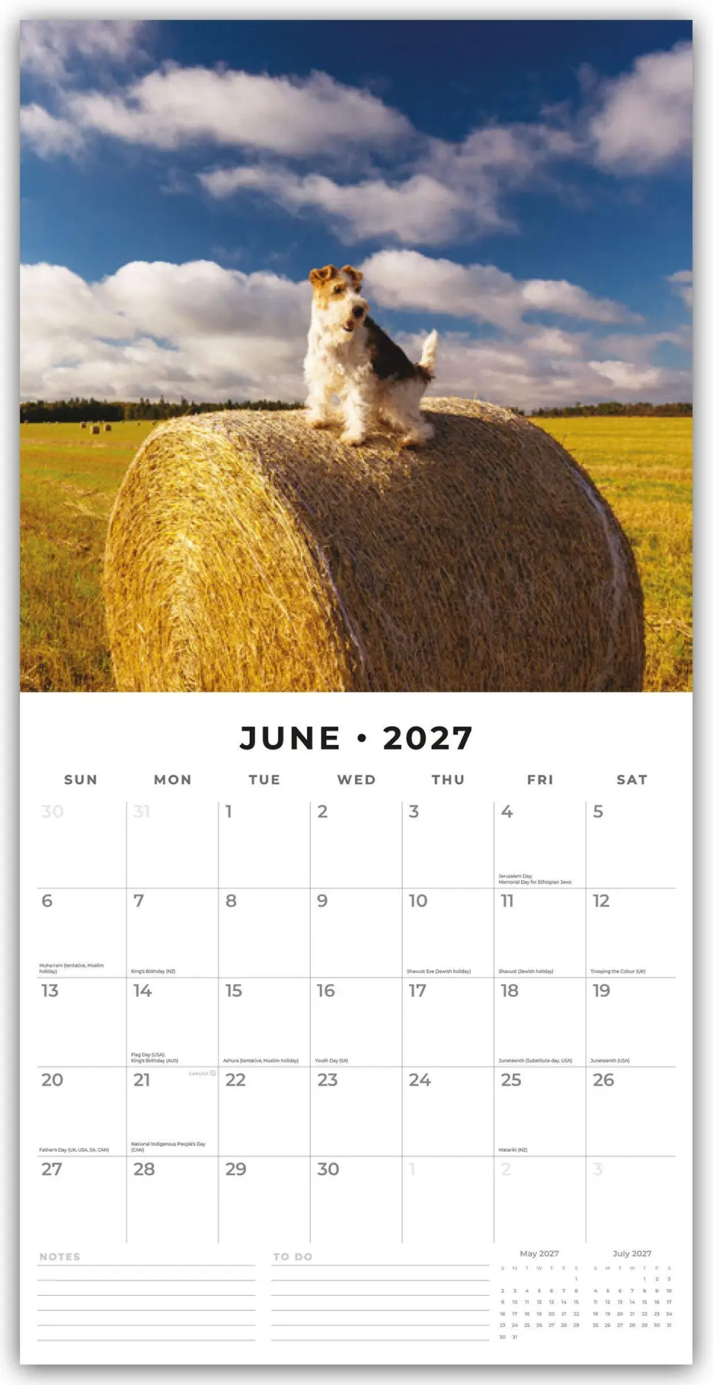 Bild: 9781837013159 | Wire Fox Terriers - Drahthaar Foxterrier 2027 - 16-Monatskalender