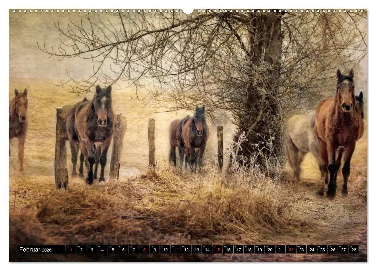 Bild: 9783457963159 | Western und Pferde (hochwertiger Premium Wandkalender 2026 DIN A2...