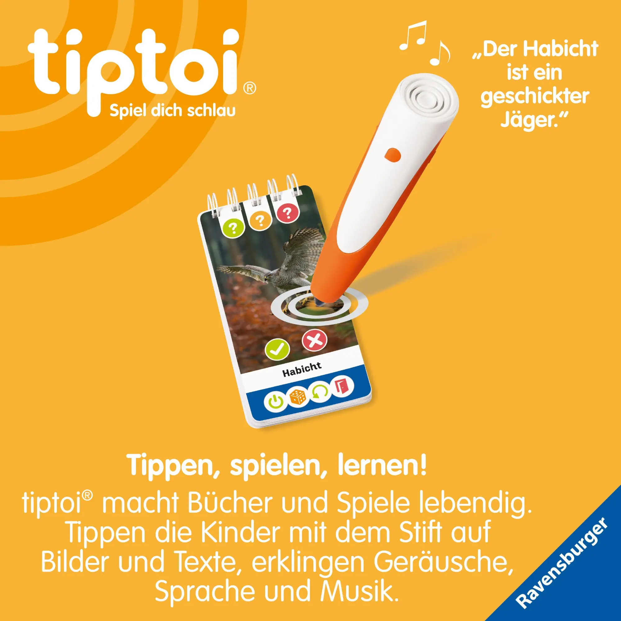Bild: 9783473493159 | tiptoi® Wieso? Weshalb? Warum? Quiz - Unsere Vögel | Taschenbuch