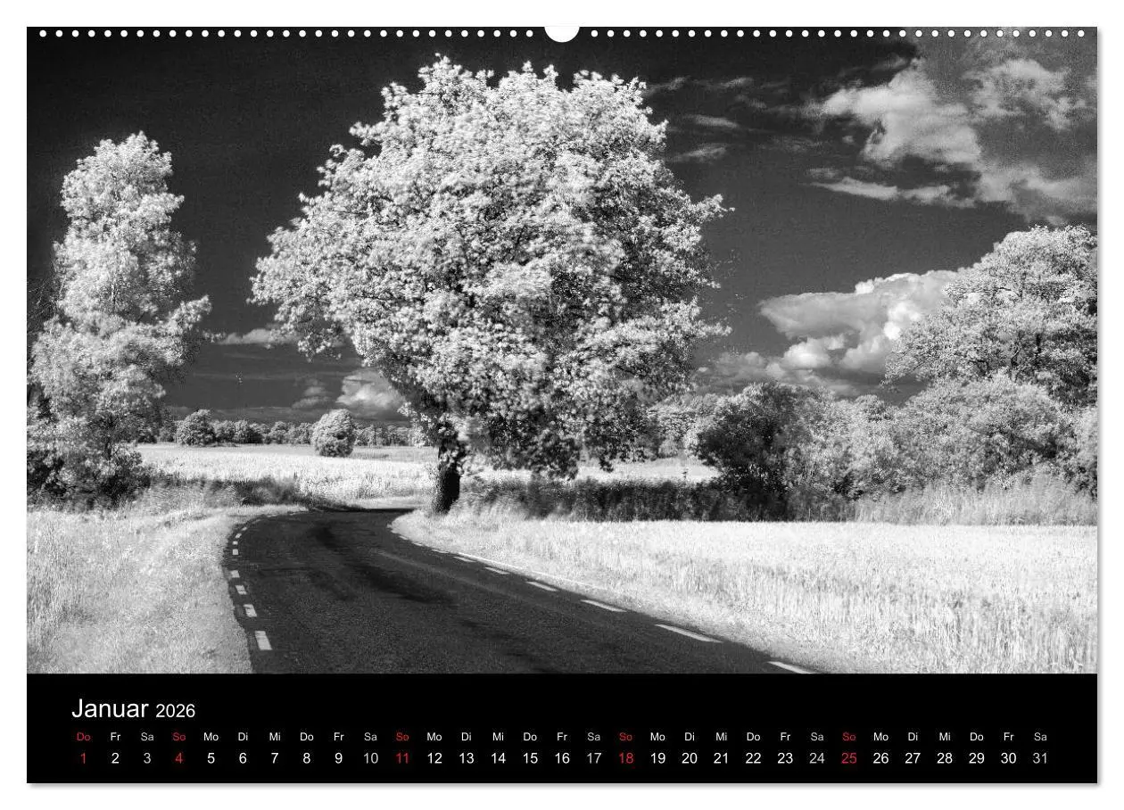 Bild: 9783516053159 | Objekte in schwarz weiss (Wandkalender 2026 DIN A2 quer), CALVENDO...