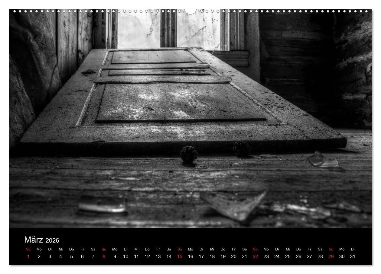 Bild: 9783516053159 | Objekte in schwarz weiss (Wandkalender 2026 DIN A2 quer), CALVENDO...