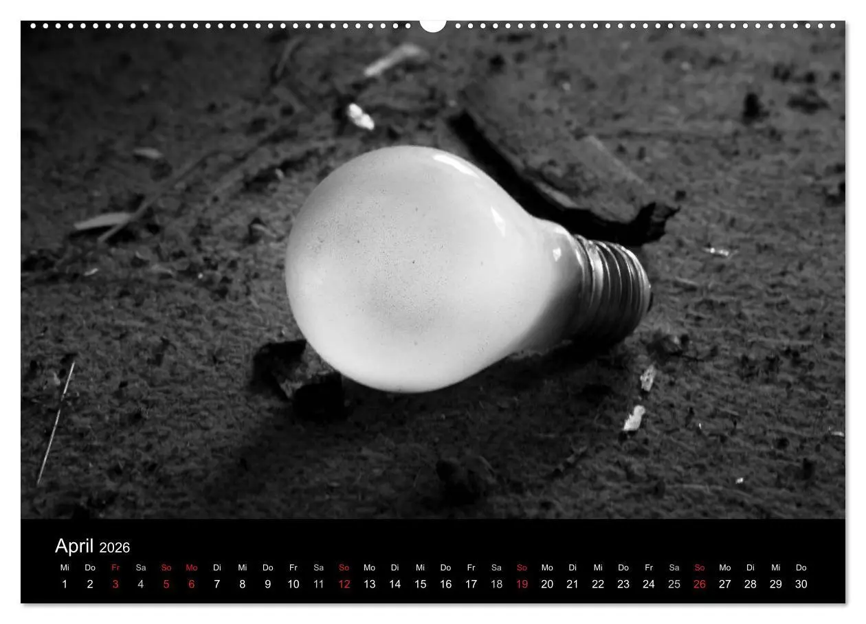Bild: 9783516053159 | Objekte in schwarz weiss (Wandkalender 2026 DIN A2 quer), CALVENDO...