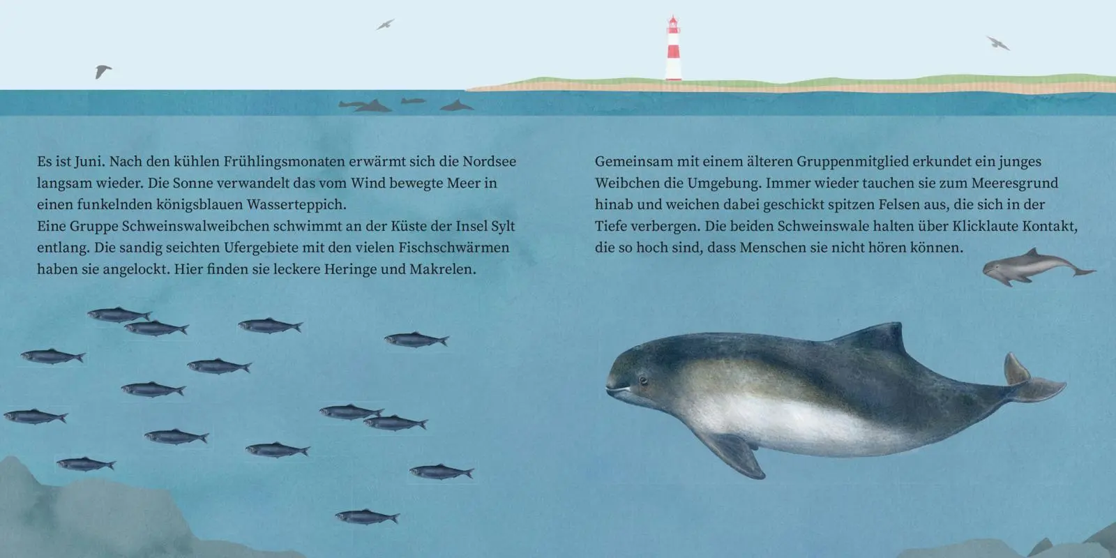 Bild: 9783551083159 | LESEMAUS 135: Der kleine Wal und das Meer | Claudia H.M. Hangen | Buch