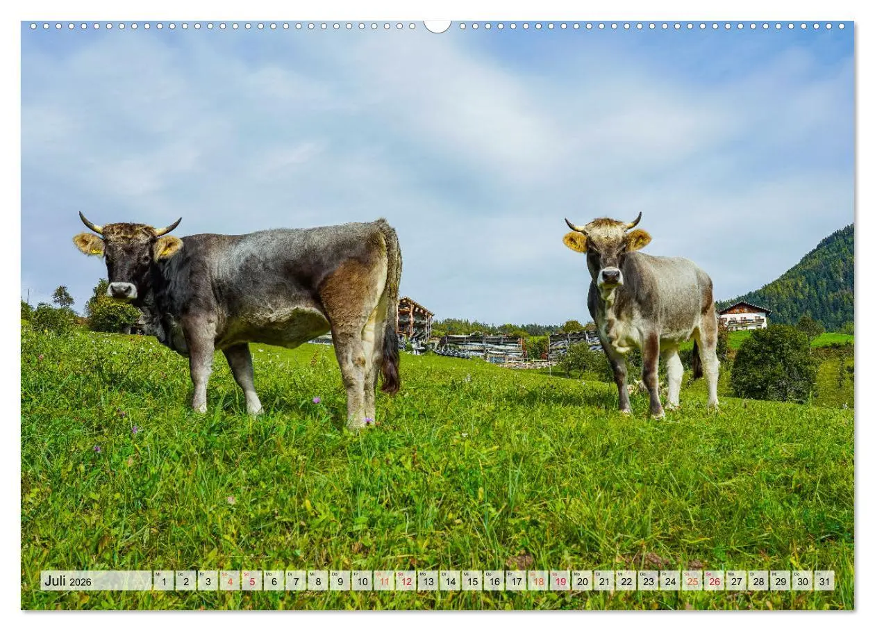 Bild: 9783457263259 | Südtirol Impressionen (hochwertiger Premium Wandkalender 2026 DIN...