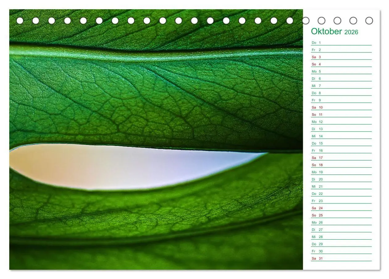 Bild: 9783457643259 | Grün Makrofotografien aus der grünen Welt der Pflanzen als...