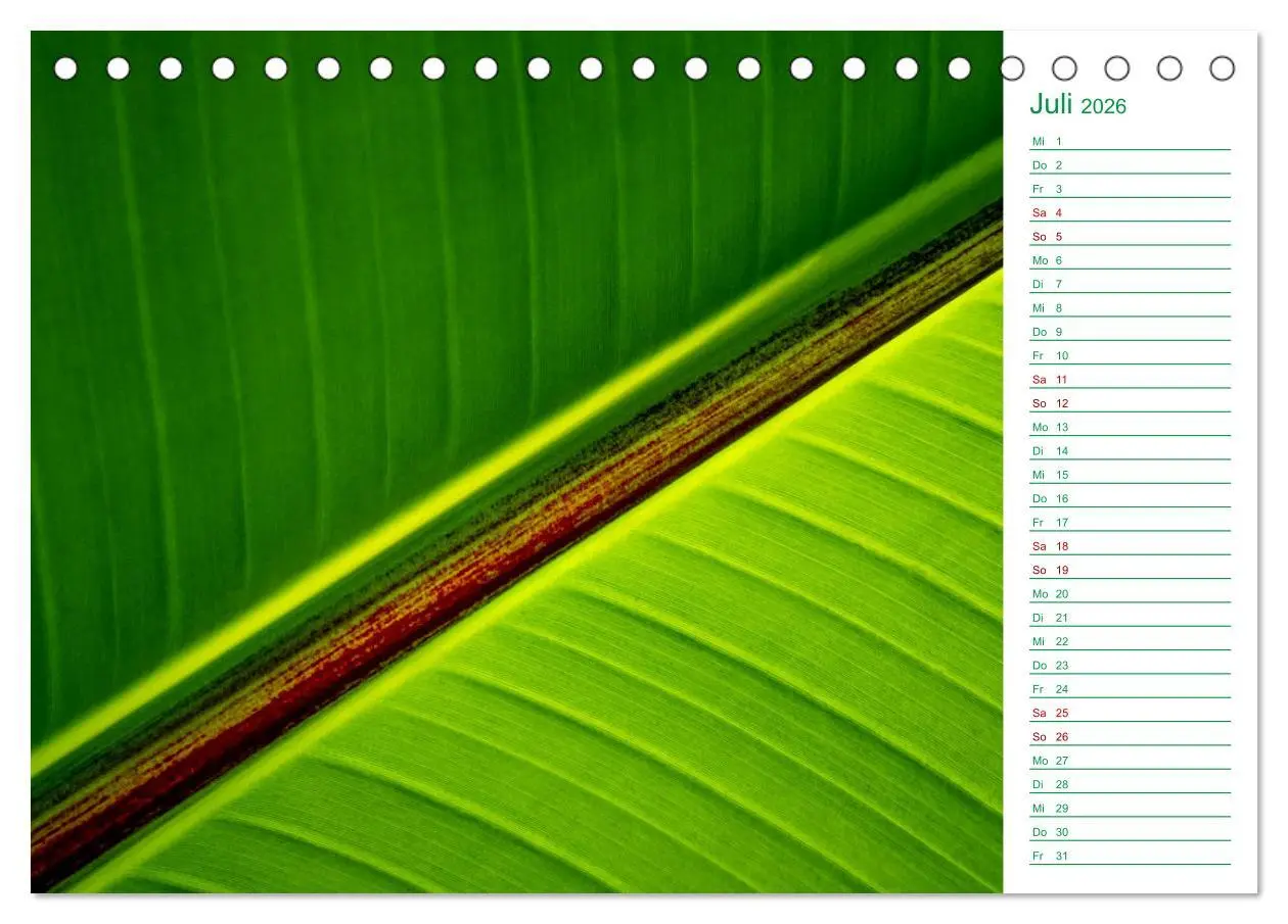 Bild: 9783457643259 | Grün Makrofotografien aus der grünen Welt der Pflanzen als...