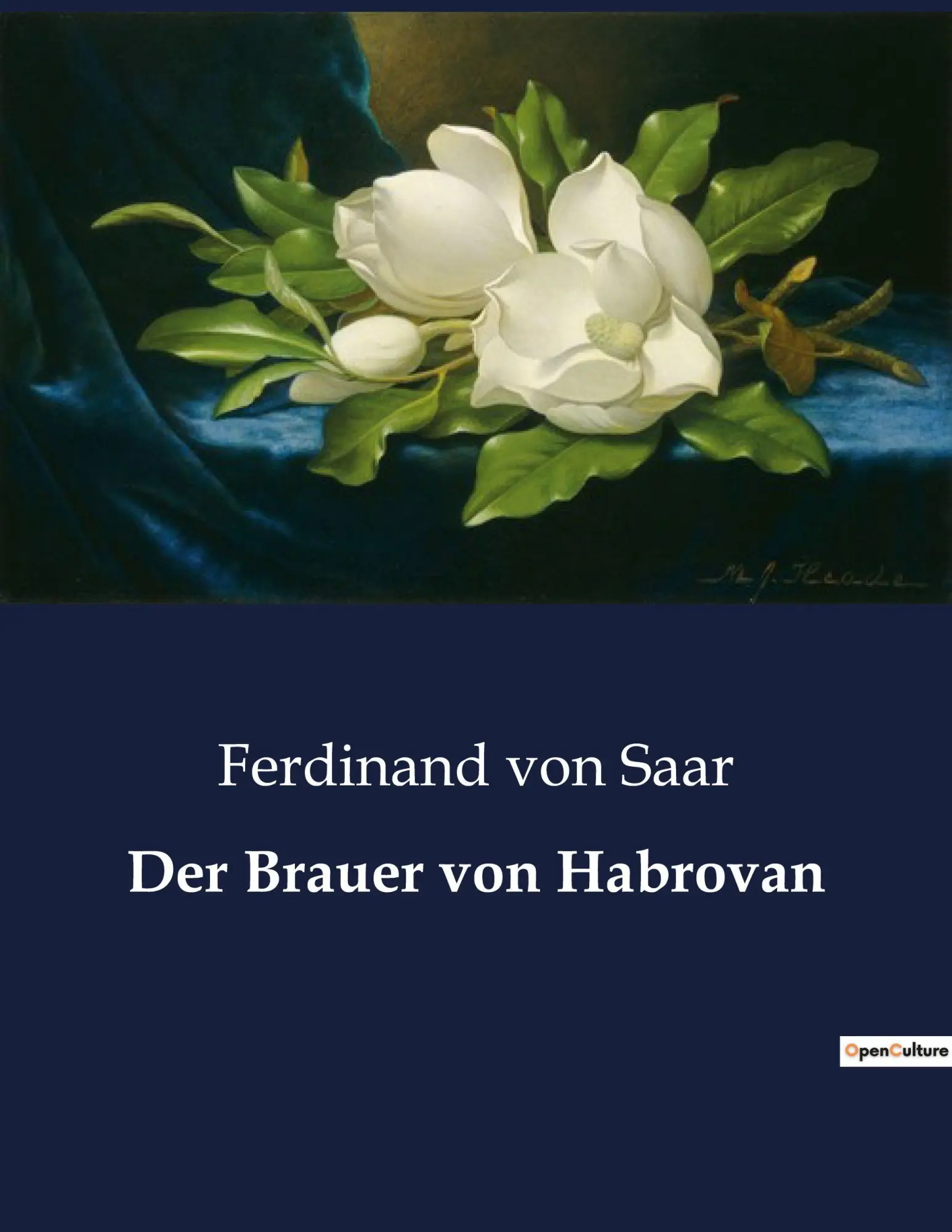 Cover: 9791041933259 | Der Brauer von Habrovan | Ferdinand Von Saar | Taschenbuch | 24 S.