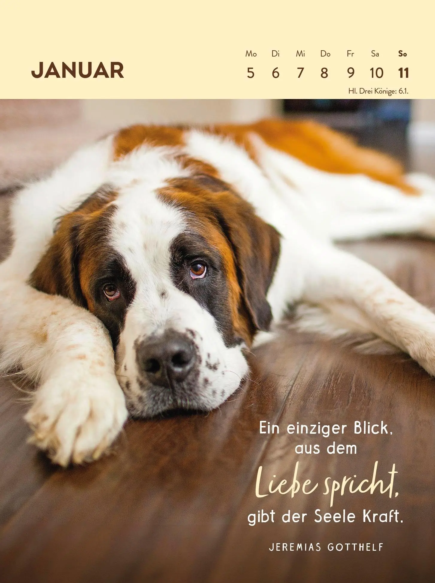 Bild: 4036442013359 | Wochenkalender 2026: Hunde sind die besten Freunde | Groh Verlag