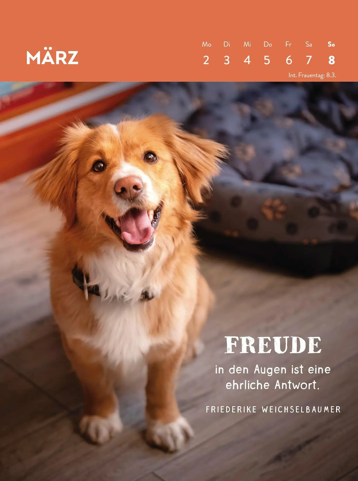 Bild: 4036442013359 | Wochenkalender 2026: Hunde sind die besten Freunde | Groh Verlag