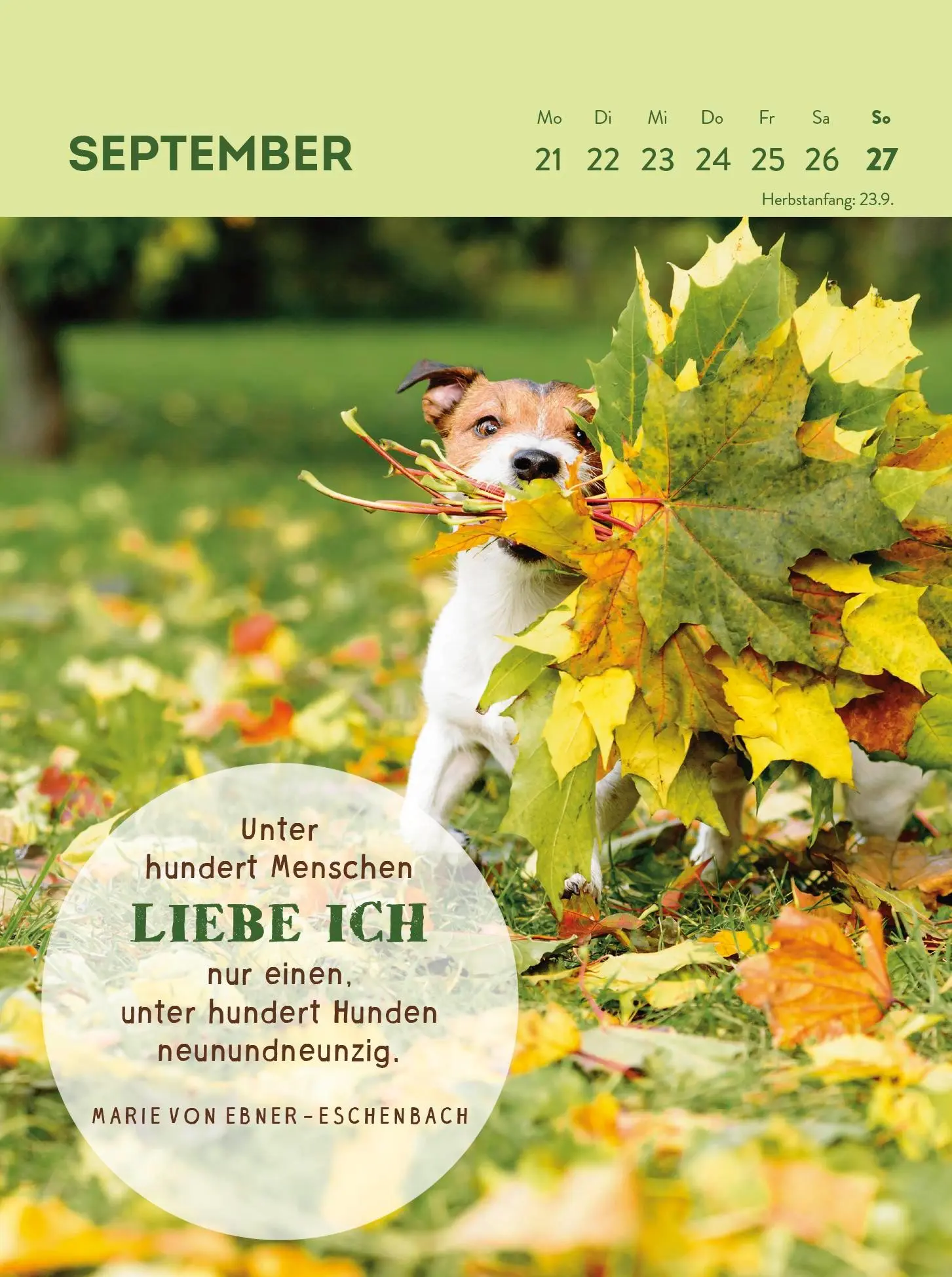 Bild: 4036442013359 | Wochenkalender 2026: Hunde sind die besten Freunde | Groh Verlag