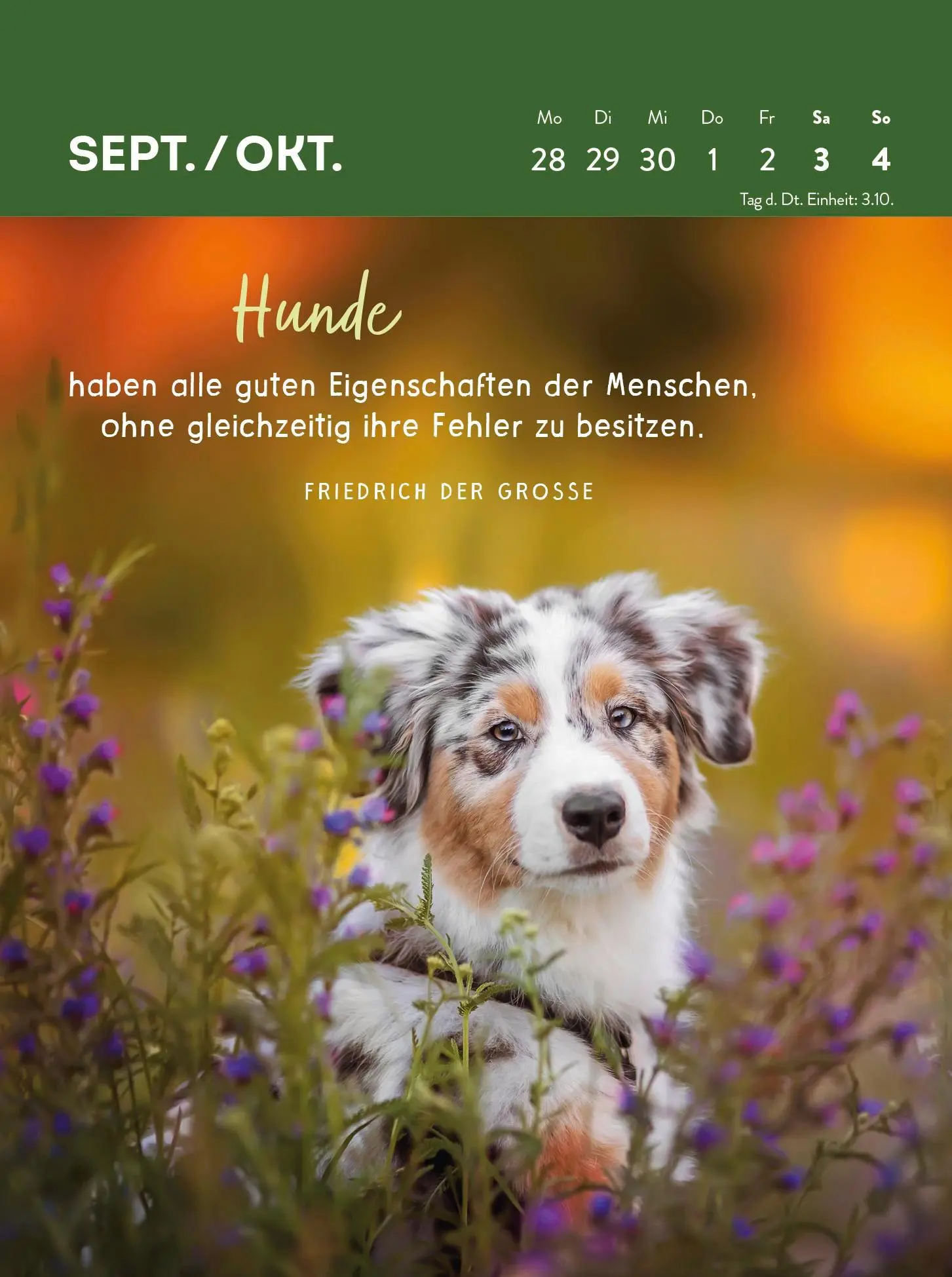 Bild: 4036442013359 | Wochenkalender 2026: Hunde sind die besten Freunde | Groh Verlag