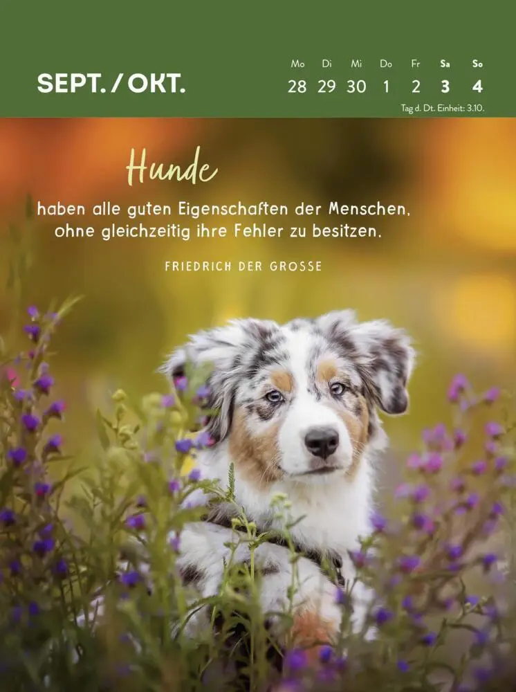 Bild: 4036442013359 | Wochenkalender 2026: Hunde sind die besten Freunde | Groh Verlag