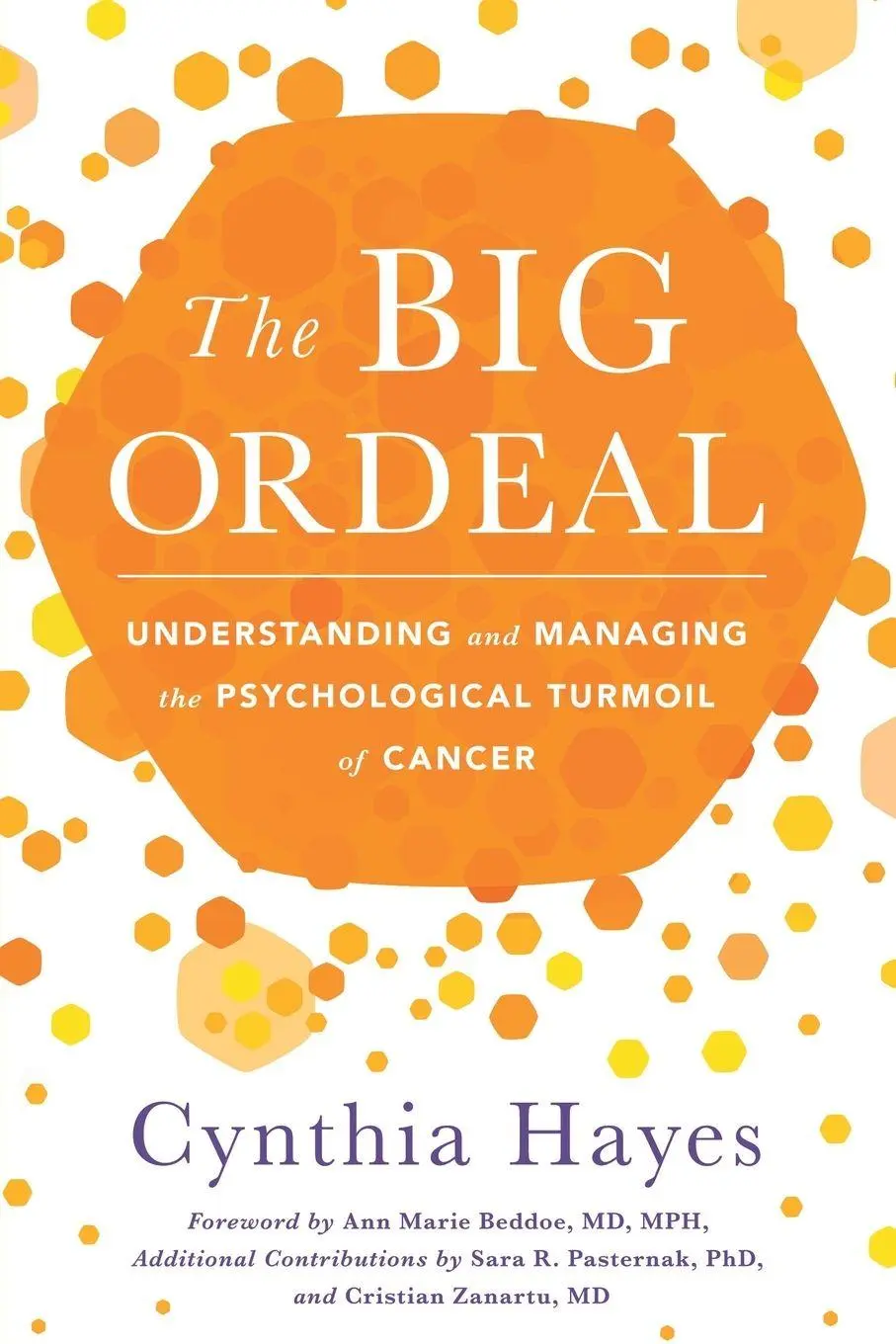 Cover: 9781632993359 | The Big Ordeal | Cynthia Hayes | Taschenbuch | Kartoniert / Broschiert