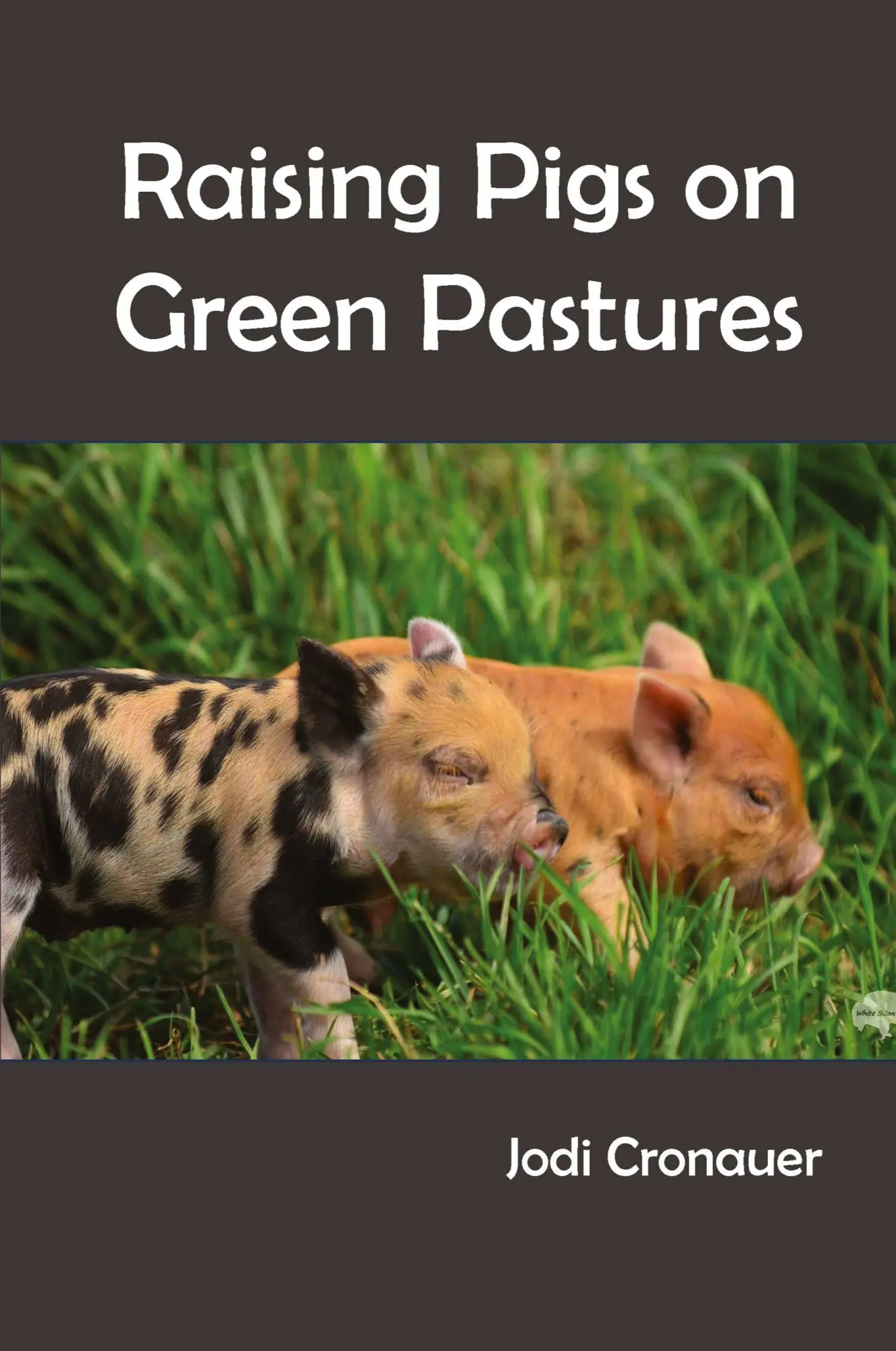 Cover: 9781649133359 | Raising Pigs on Green Pastures | Jodi Cronauer | Taschenbuch | 2020