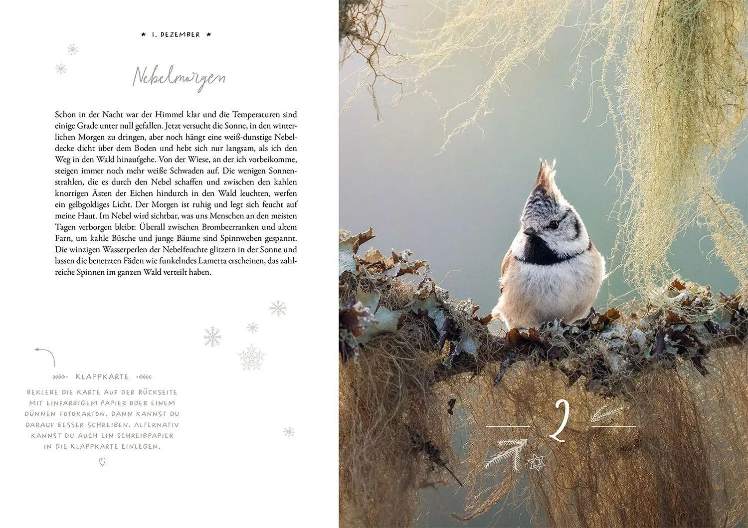 Bild: 9783440183359 | Winter Moments in Nature - der Adventskalender | López (u. a.) | Buch